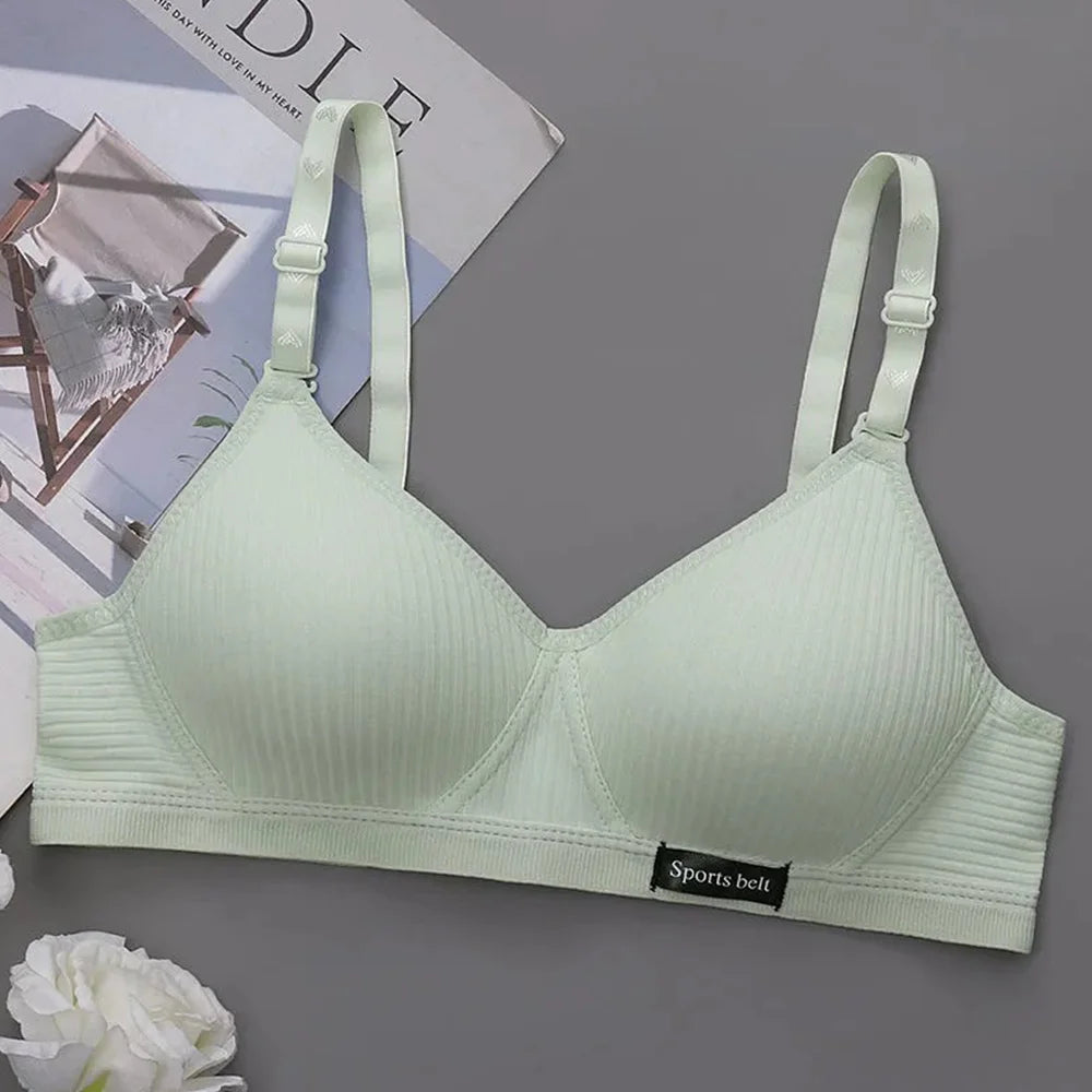 48098737455424|48098737553728|48098737619264|48098737652032