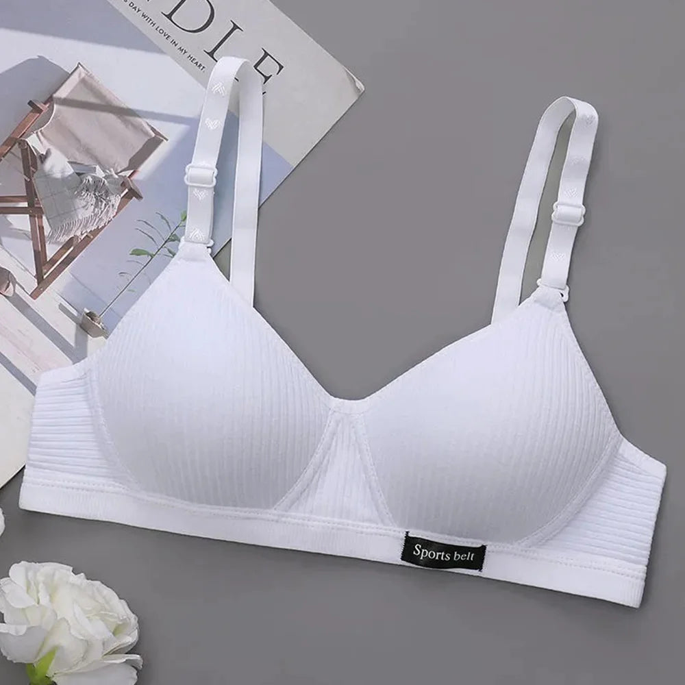 48098737422656|48098737488192|48098737520960|48098738045248