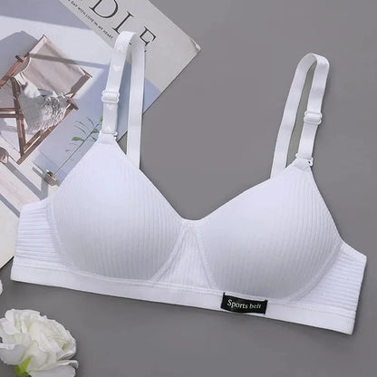 48098737422656|48098737488192|48098737520960|48098738045248